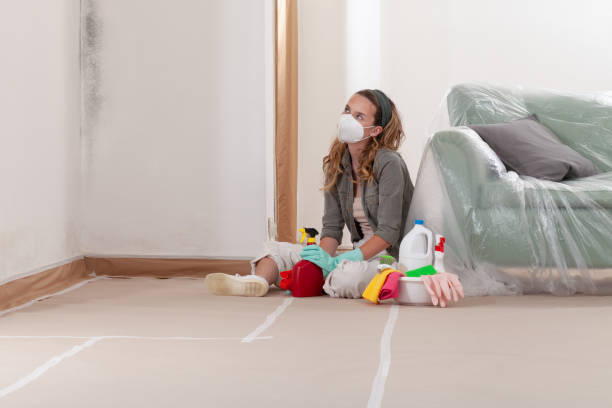 Reliable Black Mold Removal contractor in Edenton, NC by WQB Mold Removal